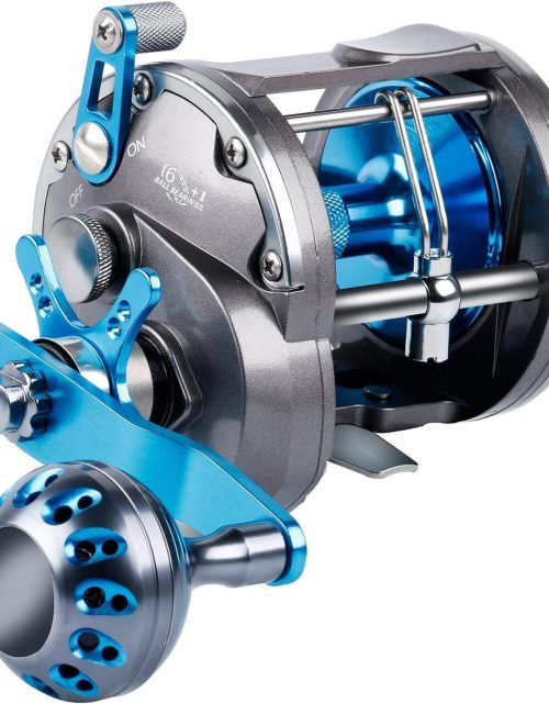 Trolling Reel Saltwater Level Wind Reels, Drag Reels Boat Fishing Ocean Fishing for Sea Bass Grouper Salmon